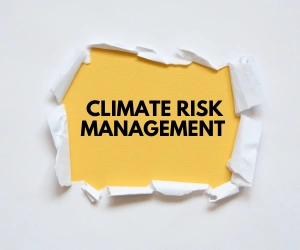 South Africa's Prudential Authority Issues Updated Climate-Related Disclosure Guidance for Banks and Insurers