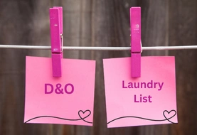 The D&O Laundry List