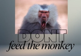 One animal attack can ruin a holiday – and they happen more often than you think