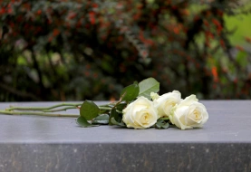 Couples living together: do you I have a right to remain in my partner's house if they pass away?
