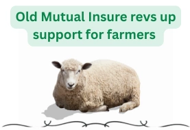 Old Mutual Insure revs up support for farmers through Lamb Champs
