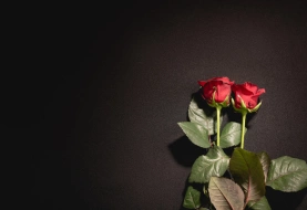 Sanlam launches first-of-its-kind prepaid funeral cover in South Africa