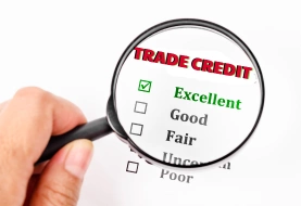 Trade Credit Insurance in a Constrained Economy