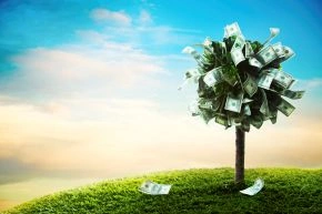 SA investors: Making hay while the sun shines