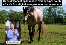 When a love for horses brings innovation to financial services