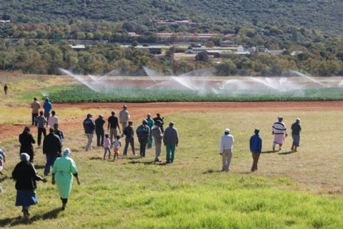 Farming project turns unemployed into ‘new farmers’ 