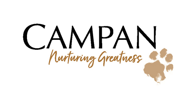 Entrepreneurial Innovation