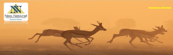  NNAC Launches Wildlife Insurance Product with RGA Wildlife