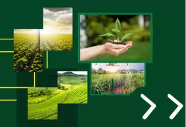 NAMPO 2025 charts the way for agricultural resilience amid prevailing global shocks