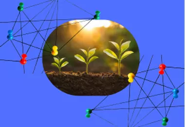 Insurance models must connect the dots to fit a new agricultural world
