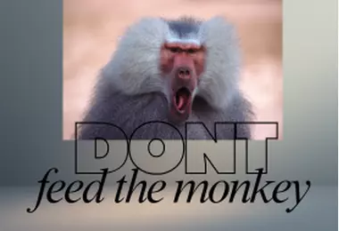 One animal attack can ruin a holiday – and they happen more often than you think