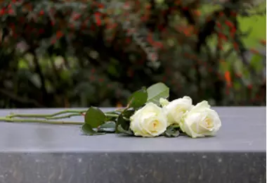 Couples living together: do you I have a right to remain in my partner's house if they pass away?