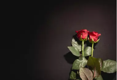 Sanlam launches first-of-its-kind prepaid funeral cover in South Africa