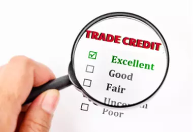 Trade Credit Insurance in a Constrained Economy