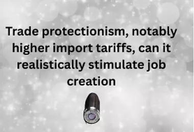 Budget Speech: South African students say trade policy is not a silver bullet for unemployment