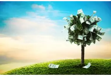 SA investors: Making hay while the sun shines