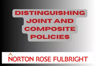 Distinguishing joint and composite policies