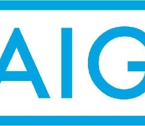 AIG’s CyberEdge app keeps clients ahead of the liability curve