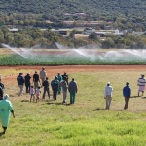Farming project turns unemployed into ‘new farmers’ 