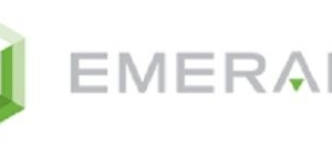 Emerald's Mandela Day Initiative 2013