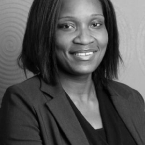 New investment analyst at Novare
