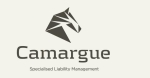 Camargue appoints Gerhard De Bruin as new Managing Director