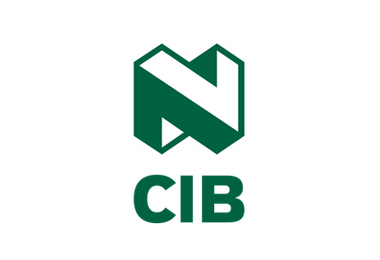 Nedbank CIB welcomes the Minister of Finance’s announcement on electric vehicles 