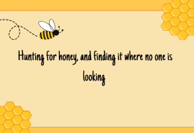 Hunting for honey, and finding it where no one is looking