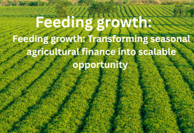 Feeding growth: Transforming seasonal agricultural finance into scalable opportunity