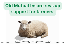 Old Mutual Insure revs up support for farmers through Lamb Champs