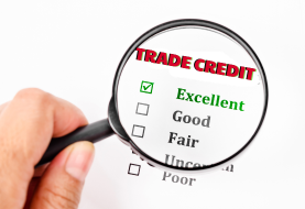 Trade Credit Insurance in a Constrained Economy