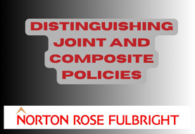 Distinguishing joint and composite policies