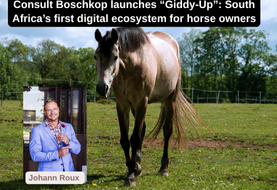When a love for horses brings innovation to financial services