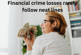 When Money Goes Missing: Why “Which Policy Responds?” Is Never Simple