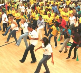 Hollardites learn the 'Less Space' diski
