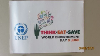 World Environment Day: Emerald raises staff awareness 