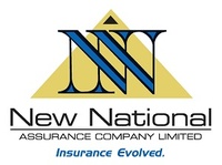 New National appoints Shawn Naidoo