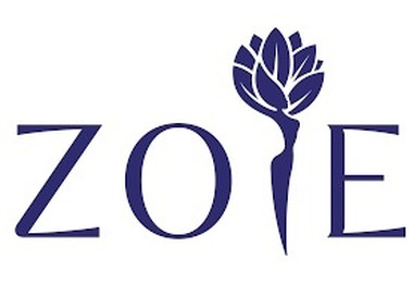 Motherhood and money: Zoie Health and Franc explore the finer points of Momconomics